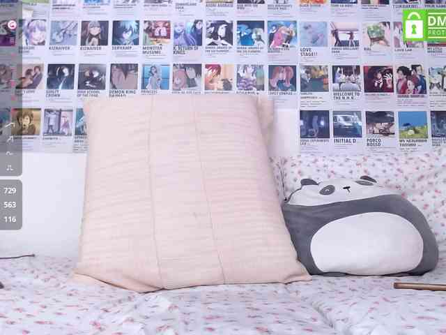 Ani_chan webcam