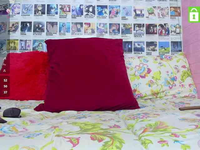 Ani_chan webcam