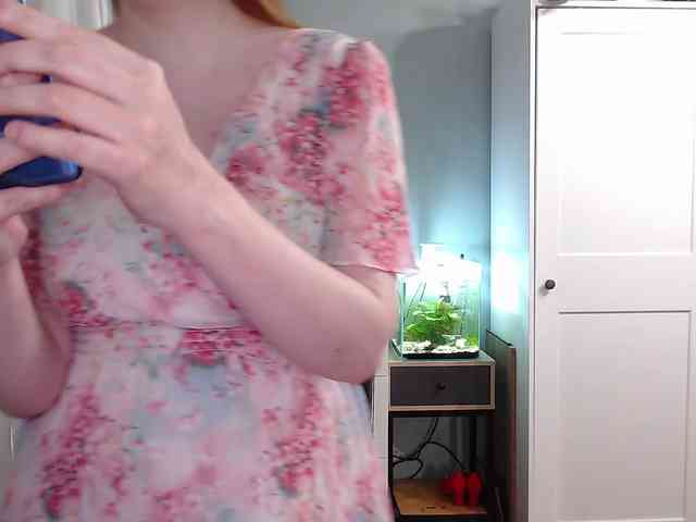 missInari webcam