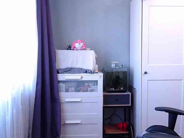 missInari webcam