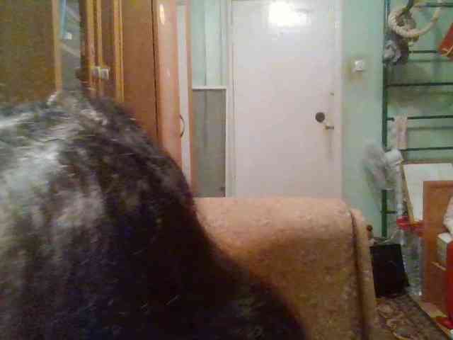 Love777love webcam