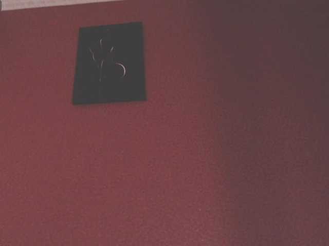 ToryXCristal's BongaCams show and profile