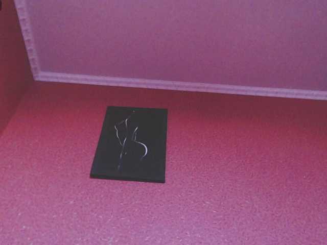 ToryXCristal's BongaCams show and profile