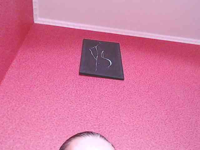 TorryJ webcam