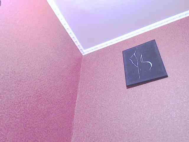 TorryJ webcam