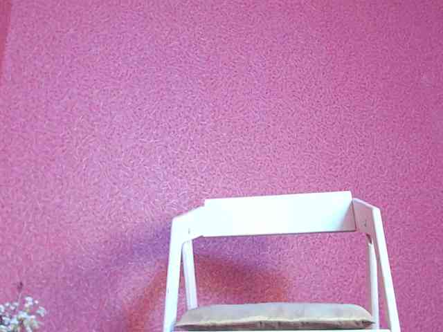 TorryJ webcam