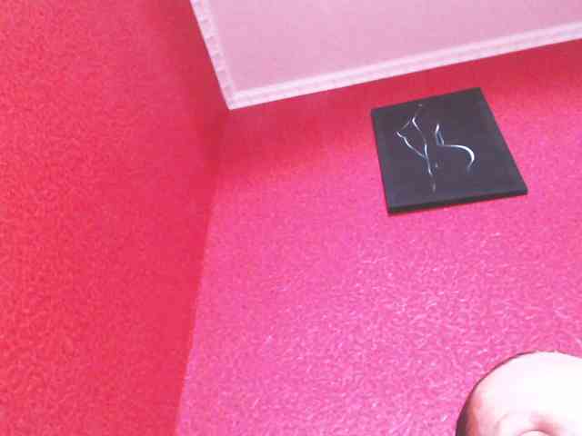 TorryJ webcam
