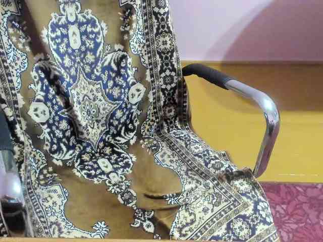 Francescini Francescini