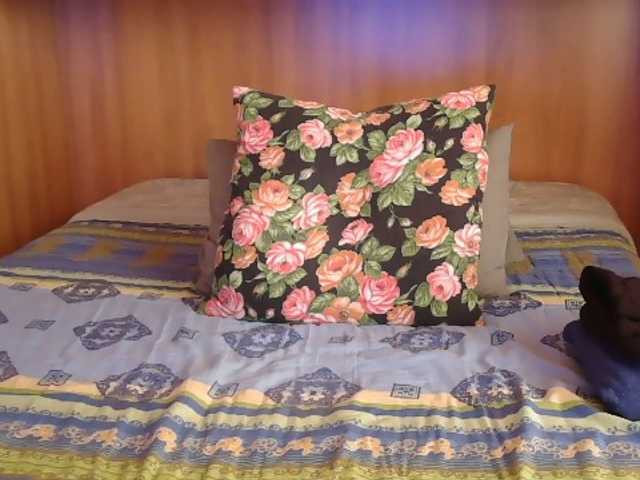 pussyboom11's BongaCams show and profile