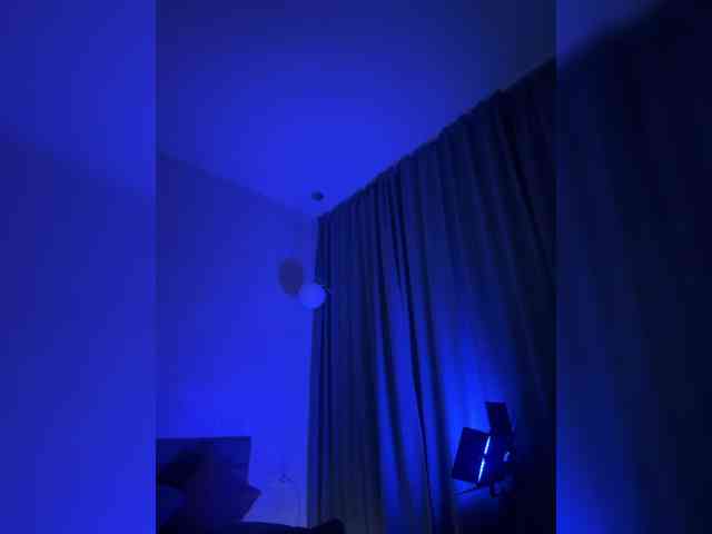 Vilgelmina webcam