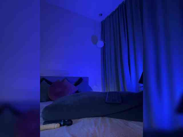 Vilgelmina webcam