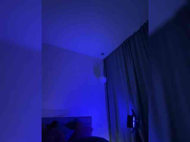 Vilgelmina webcam