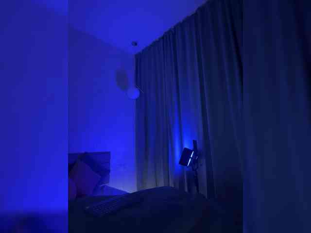 Vilgelmina webcam