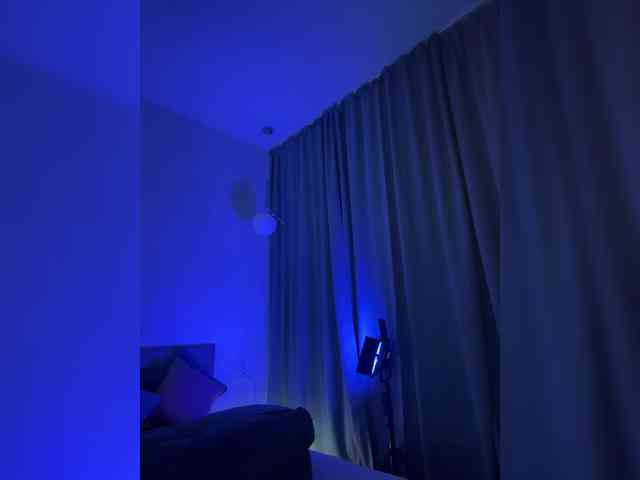 Vilgelmina webcam