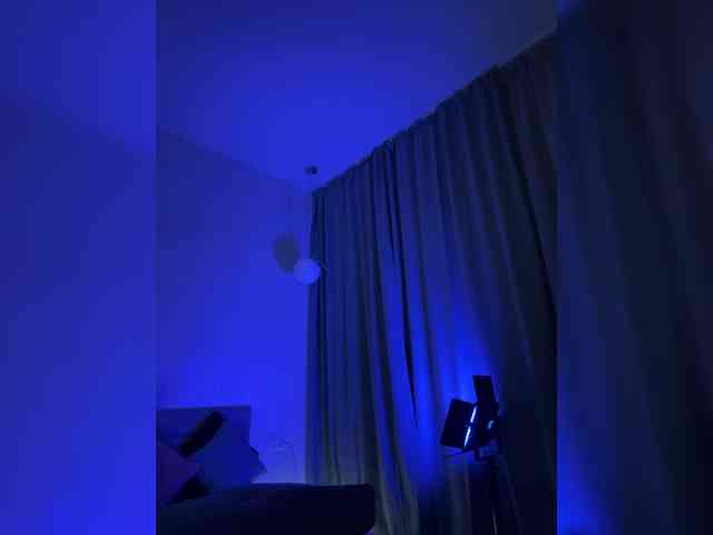 Vilgelmina webcam