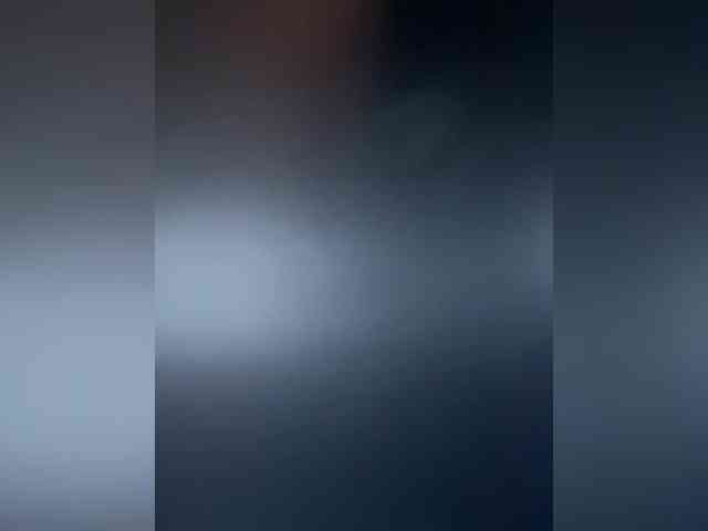 Vilgelmina webcam