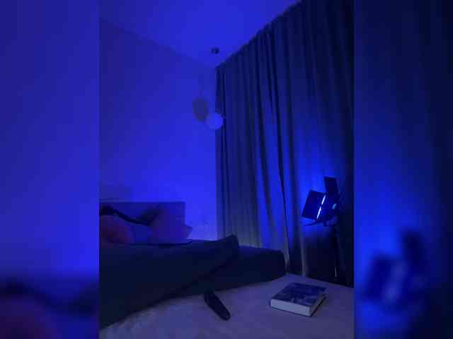 Vilgelmina webcam