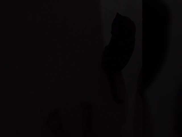 NinaBelluschi's BongaCams show and profile