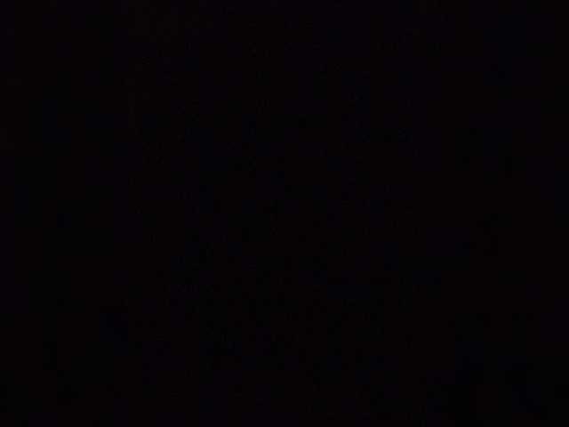 NinaBelluschi's BongaCams show and profile