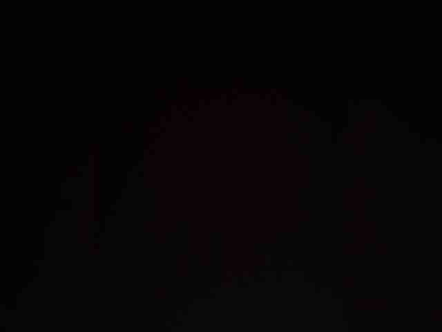 NinaBelluschi webcam