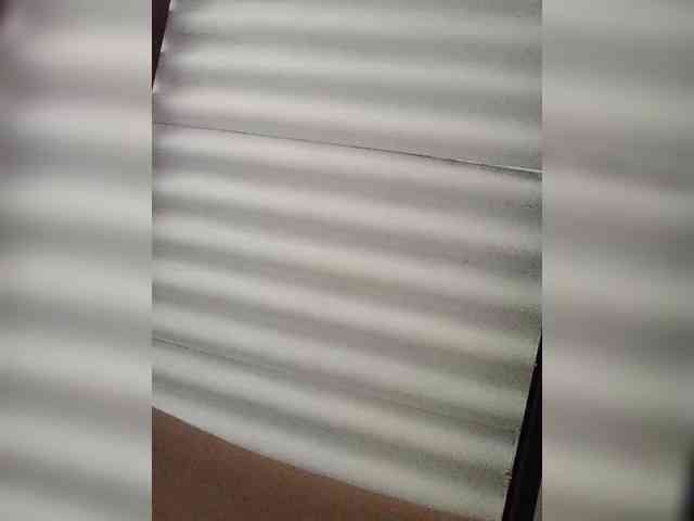 NinaBelluschi webcam