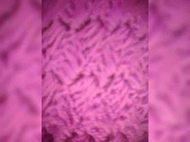 NinaBelluschi webcam