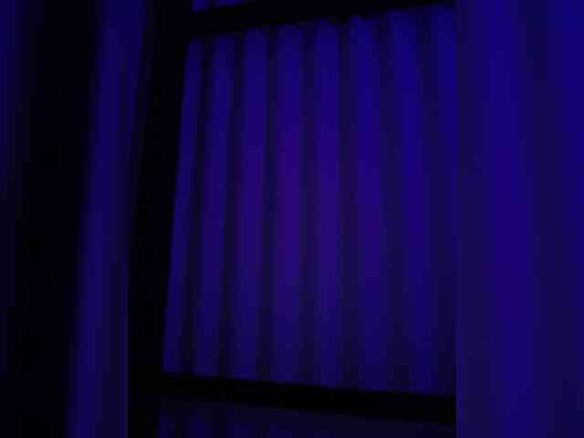 NinaBelluschi webcam