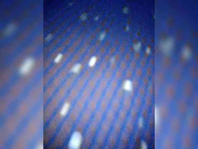 NinaBelluschi webcam