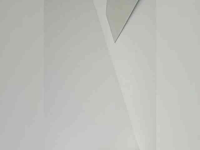 NinaBelluschi NinaBelluschi