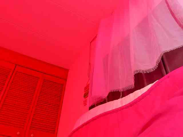 NinaBelluschi webcam