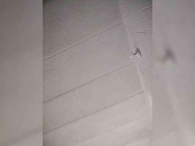 NinaBelluschi NinaBelluschi