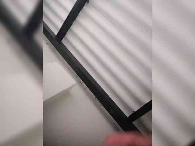 NinaBelluschi webcam