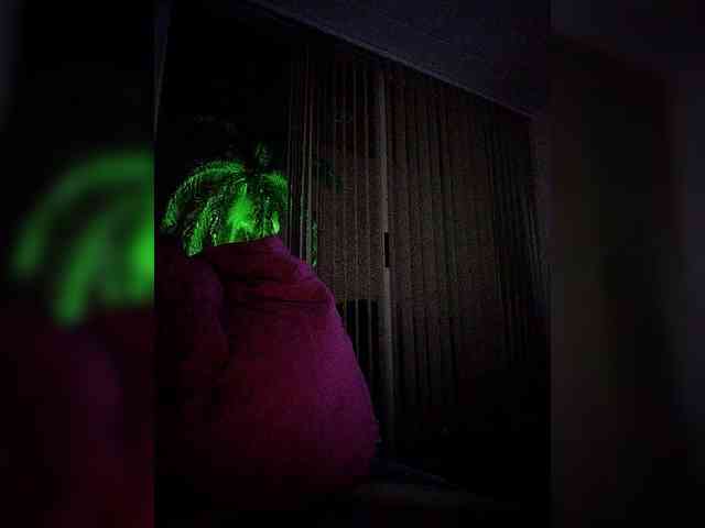 NinaBelluschi webcam