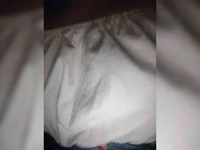 NinaBelluschi webcam