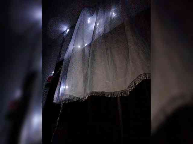 NinaBelluschi NinaBelluschi