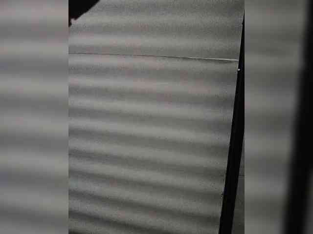 NinaBelluschi Live Webcam on BongaCams