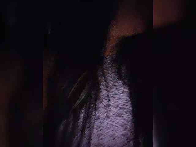 NinaBelluschi NinaBelluschi