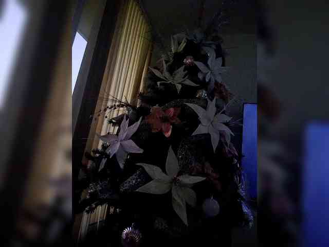 NinaBelluschi NinaBelluschi