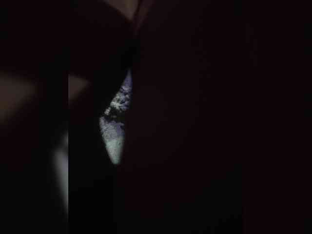 NinaBelluschi webcam