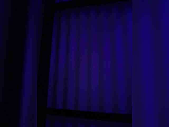 NinaBelluschi NinaBelluschi