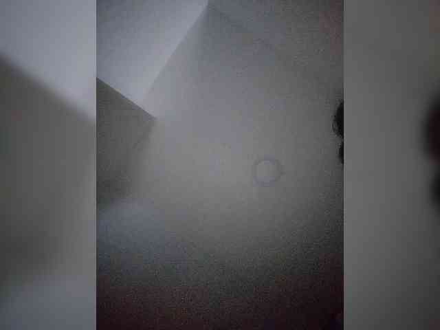 NinaBelluschi webcam