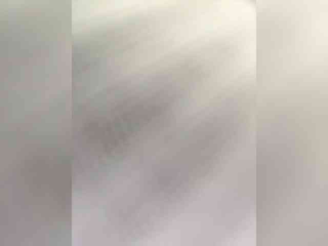 NinaBelluschi webcam