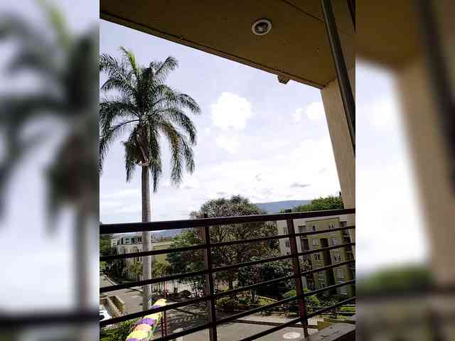 NinaBelluschi NinaBelluschi