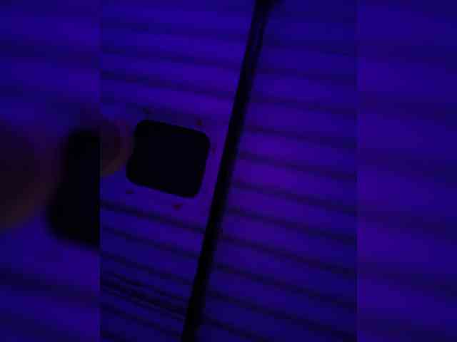 NinaBelluschi webcam