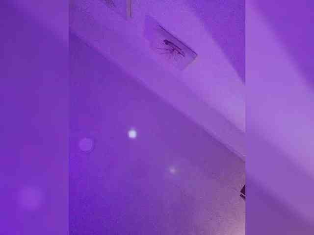 NinaBelluschi webcam