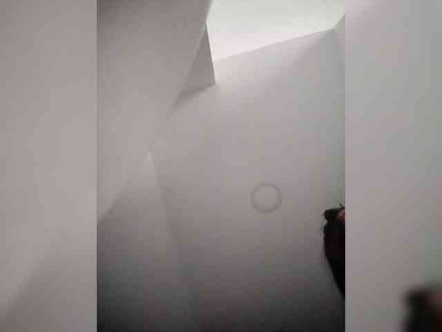 NinaBelluschi webcam