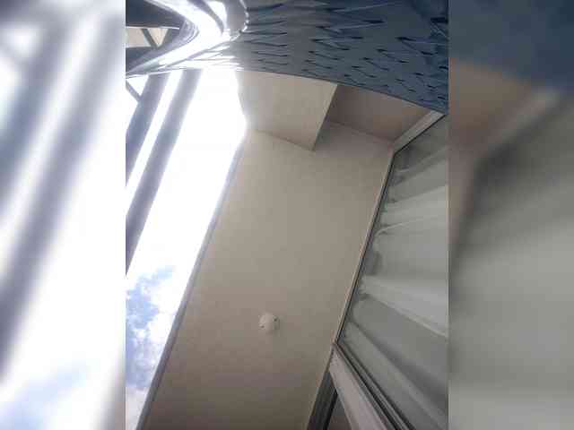 NinaBelluschi NinaBelluschi