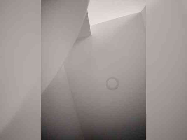 NinaBelluschi NinaBelluschi