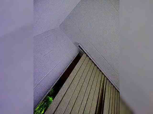 NinaBelluschi webcam