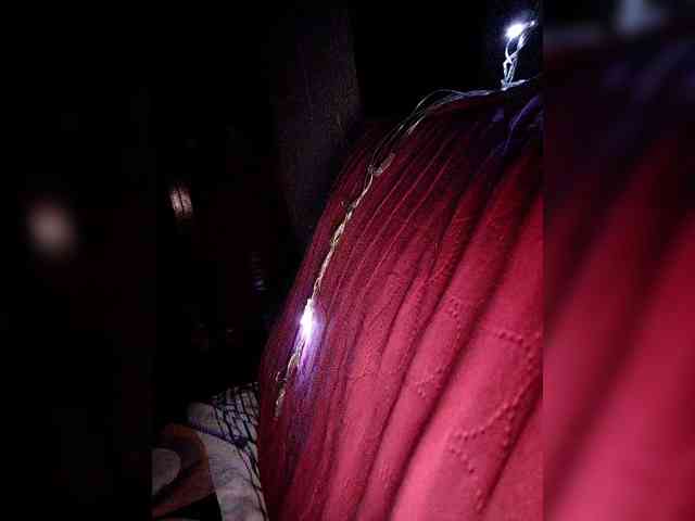 NinaBelluschi NinaBelluschi